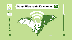 Mengapa Manusia Tidak Dapat Mendengarkan Bunyi Ultrasonik Kelelawar?